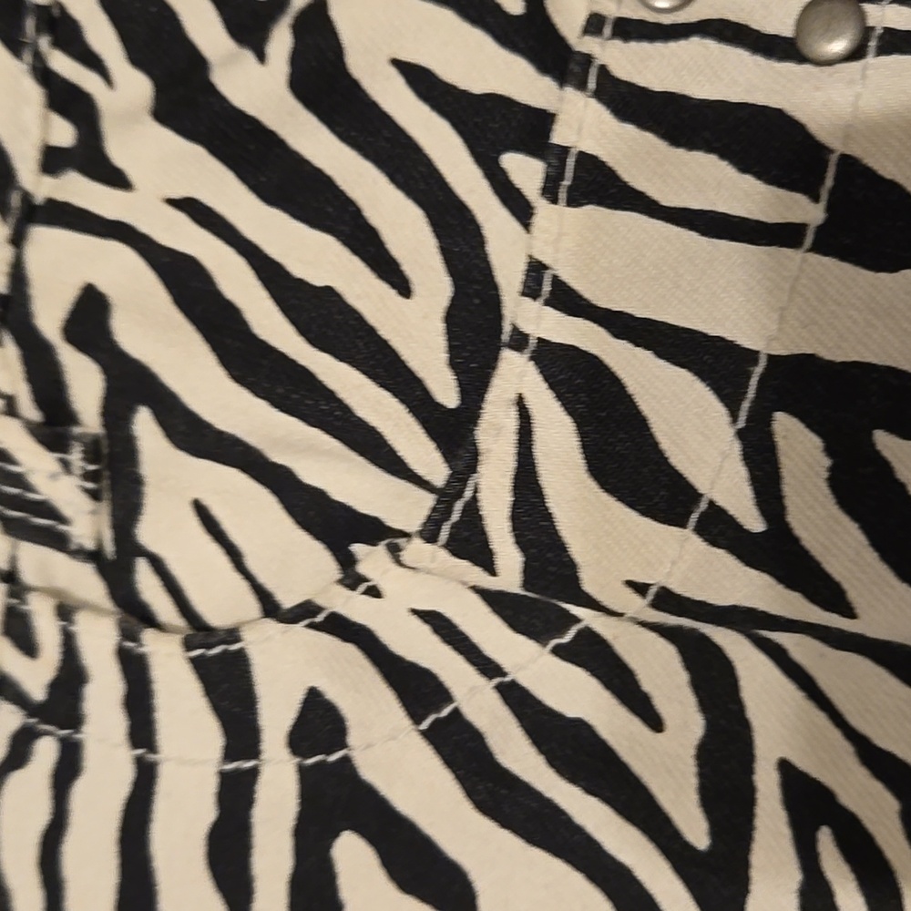 Zebra Print Chico's Pants - Picture 2 of 8